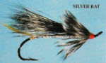 Silver Rat