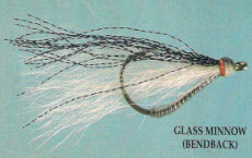 Glass Minnow (Benback)