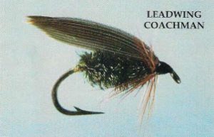 Leading Coachman