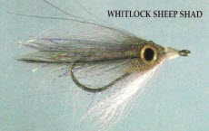 Whitlock Sheep Shad