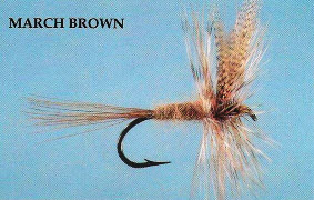 March Brown