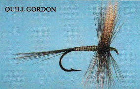 Quill Gordon