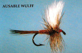 Ausable Wulff