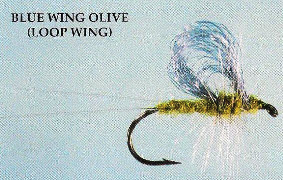 Blue Wing Olive