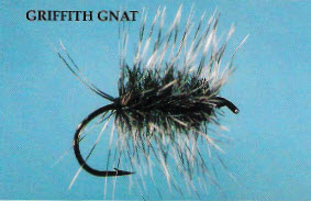 Griffith Gnat