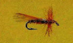 Small Brown Fluttering Caddis