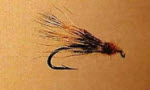 Stillborn Caddis