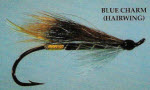 Blue Charm-Hairwing