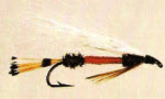 Royal Coachman Bucktail