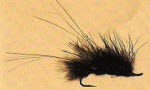 Marabou Leech