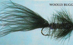 Woolly Bugger