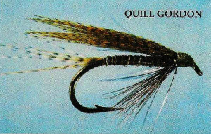 Quill Gordon